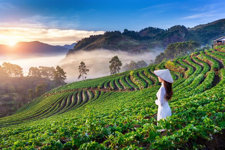 2. Tiêu đề: [Hotspot Matrix]: Tại sao Sự Nghiệp Chướng của Pháo trở thành xu hướng