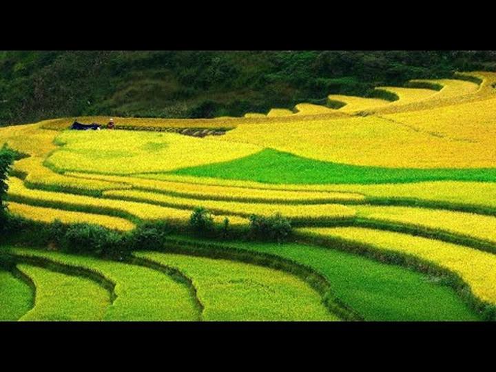 Từ 5 kiểu áo dễ