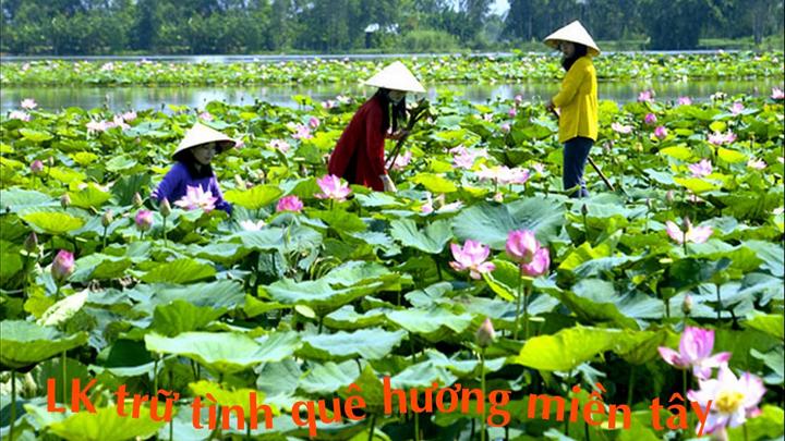 Hotspot Matrix và Niềng răng đẹp tự tin tại Nha Khoa Kim