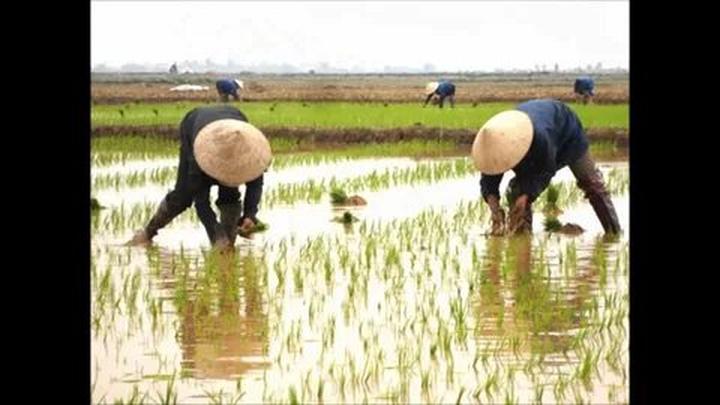 Nội dung: Mùa hè đang đầy vui vẻ với những xu hướng mới, và Huda Ice Twist đang chinh