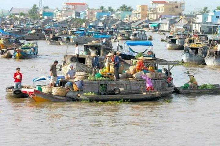 Kích thước to bất thường: Tôm nuôi theo phương pháp tự nhiên sẽ có kích thước không